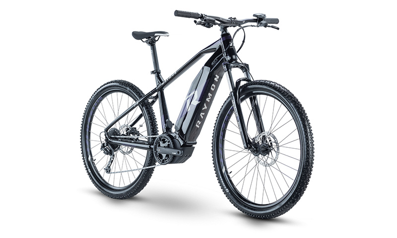 R Raymon Hardray E-Nine 5.0 2021 in der Farbe black / purple